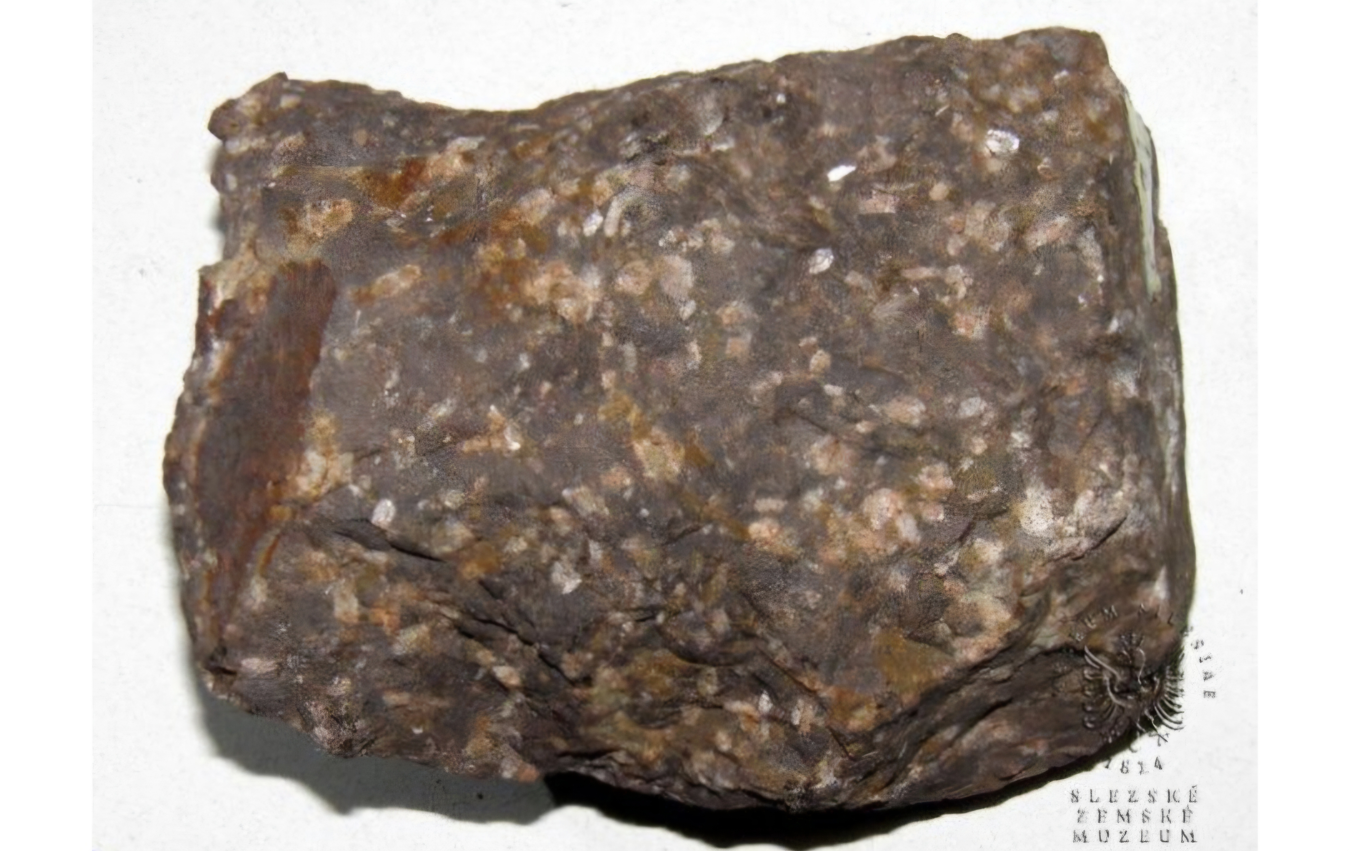 term image