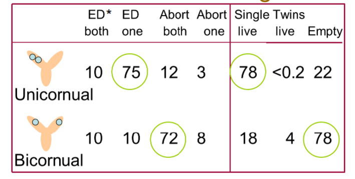 <p>20% of ovulations are twins&nbsp;</p><p>of twin conceptions 70% are unicornual&nbsp;</p><p>total loss/survival: 20% abort both, 60% single foal&nbsp;</p><p>ED = embryo death(&lt;day 40)</p><p>abort = abortion (day40-300)</p>