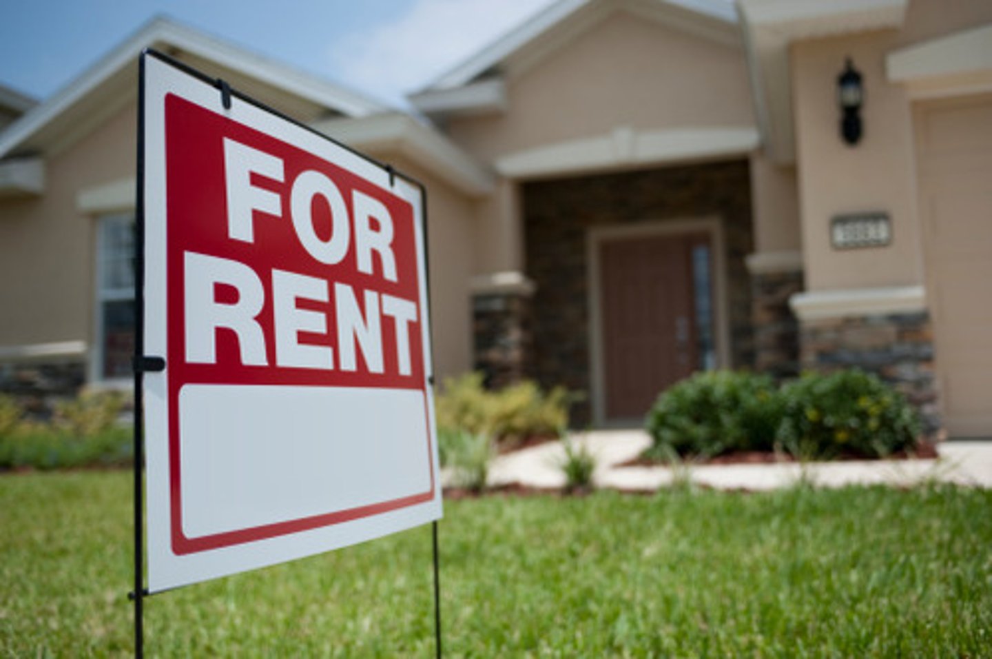 <p>rent, rents</p>