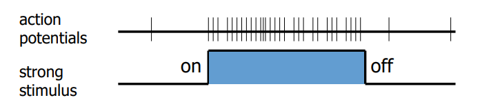 <p>=</p>