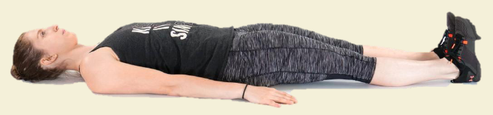 <p>Supine</p>