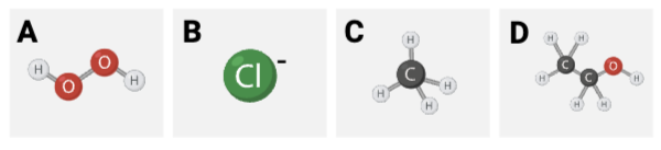 <p>Which series lists the molecules in order of hydrophilicity, from most hydrophilic to least hydrophilic?</p><ul><li><p><span>a. C &gt; B &gt; D &gt; A</span></p><p></p></li><li><p><span>b. A &gt; D &gt; B &gt; C</span></p><p></p></li><li><p><span>c. B &gt; A &gt; D &gt; C&nbsp;</span></p></li></ul><p></p>