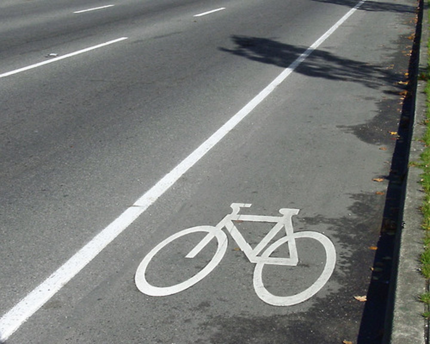 <p>The only motor vehicles that can briefly drive in a bicycle lane are:</p>