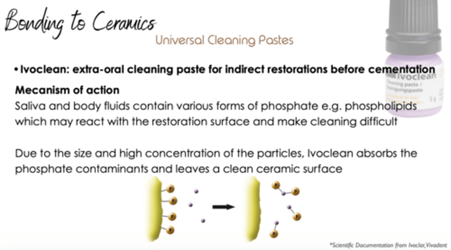 <p>Ivoclean</p>