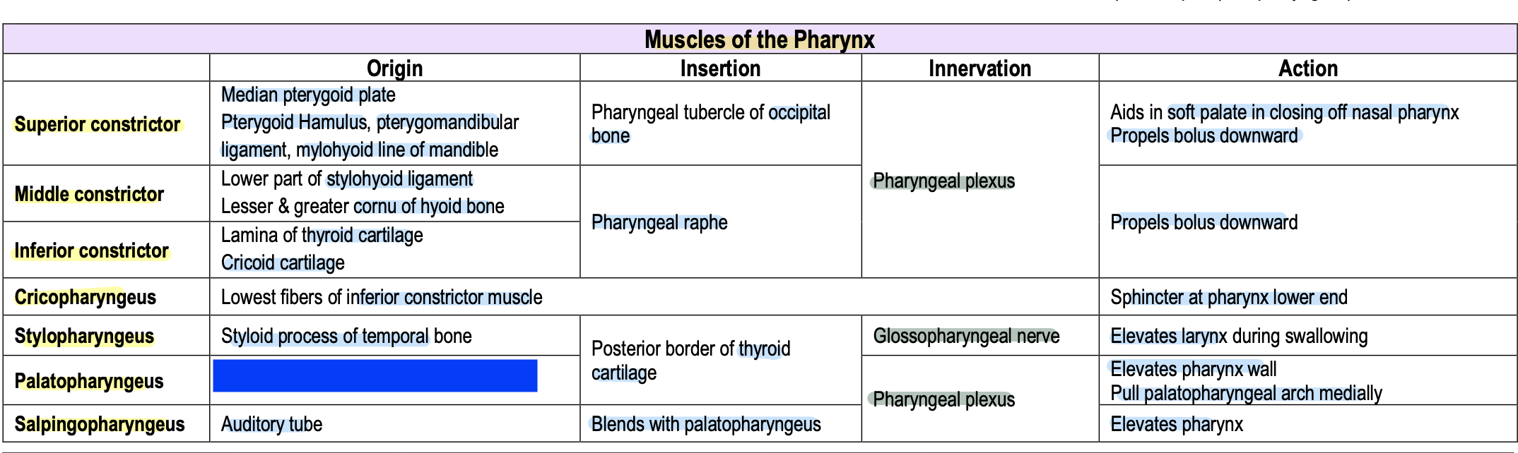 knowt flashcard image