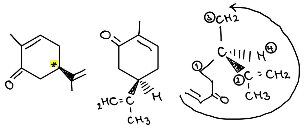 <p>(R)-carvone</p><p></p><p>IF A SUBSTITUENT HAS A C=C IT HAS HIGHER PRIORITY THAN A C-C</p>