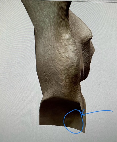 term image