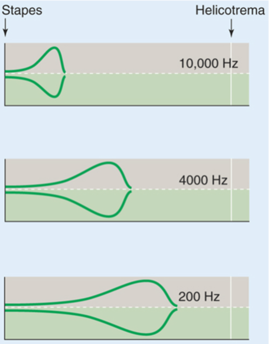 <p>What would a high frequency sound do?</p>