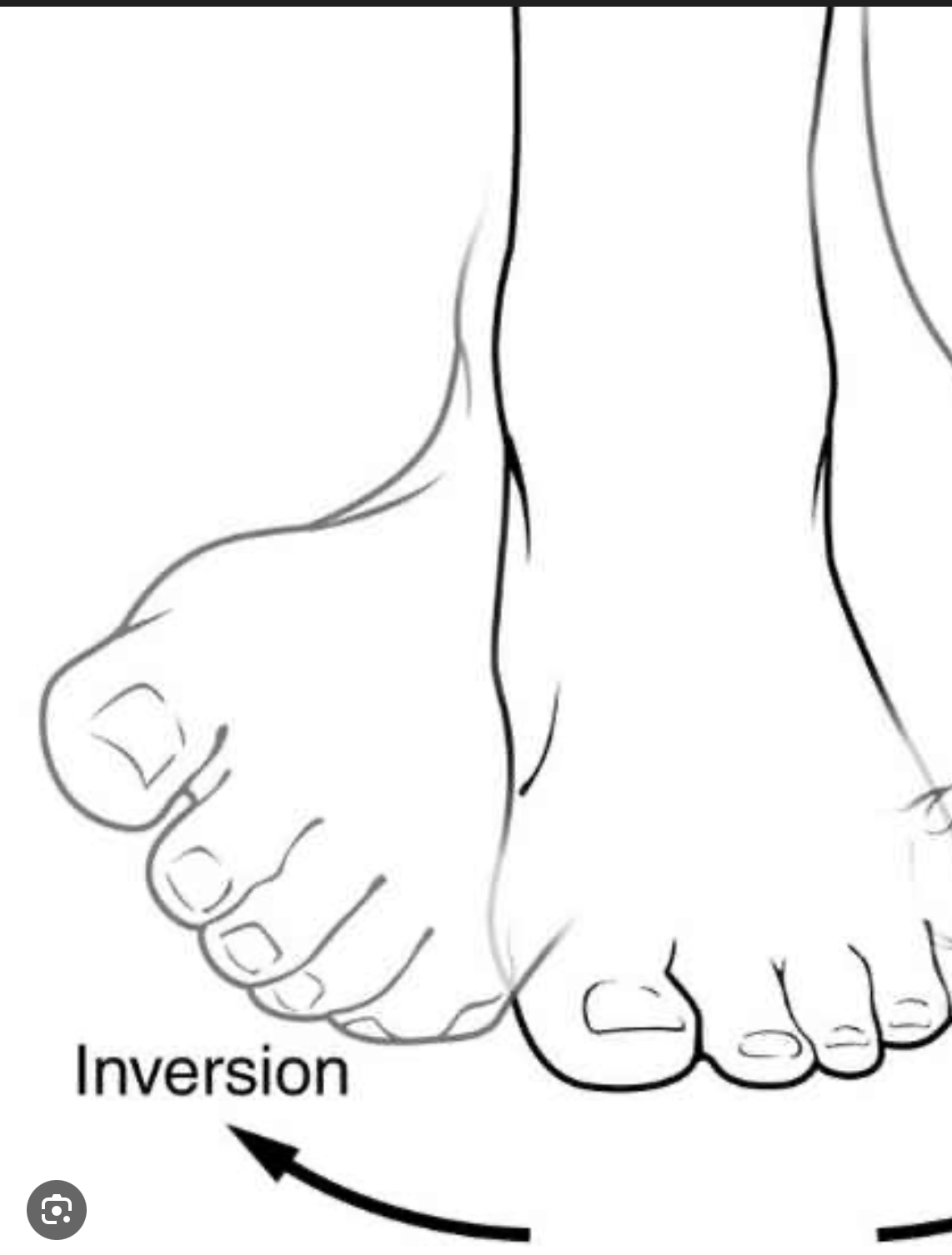 <p>Foot move in towards body</p>