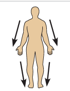 <p>Distal</p>