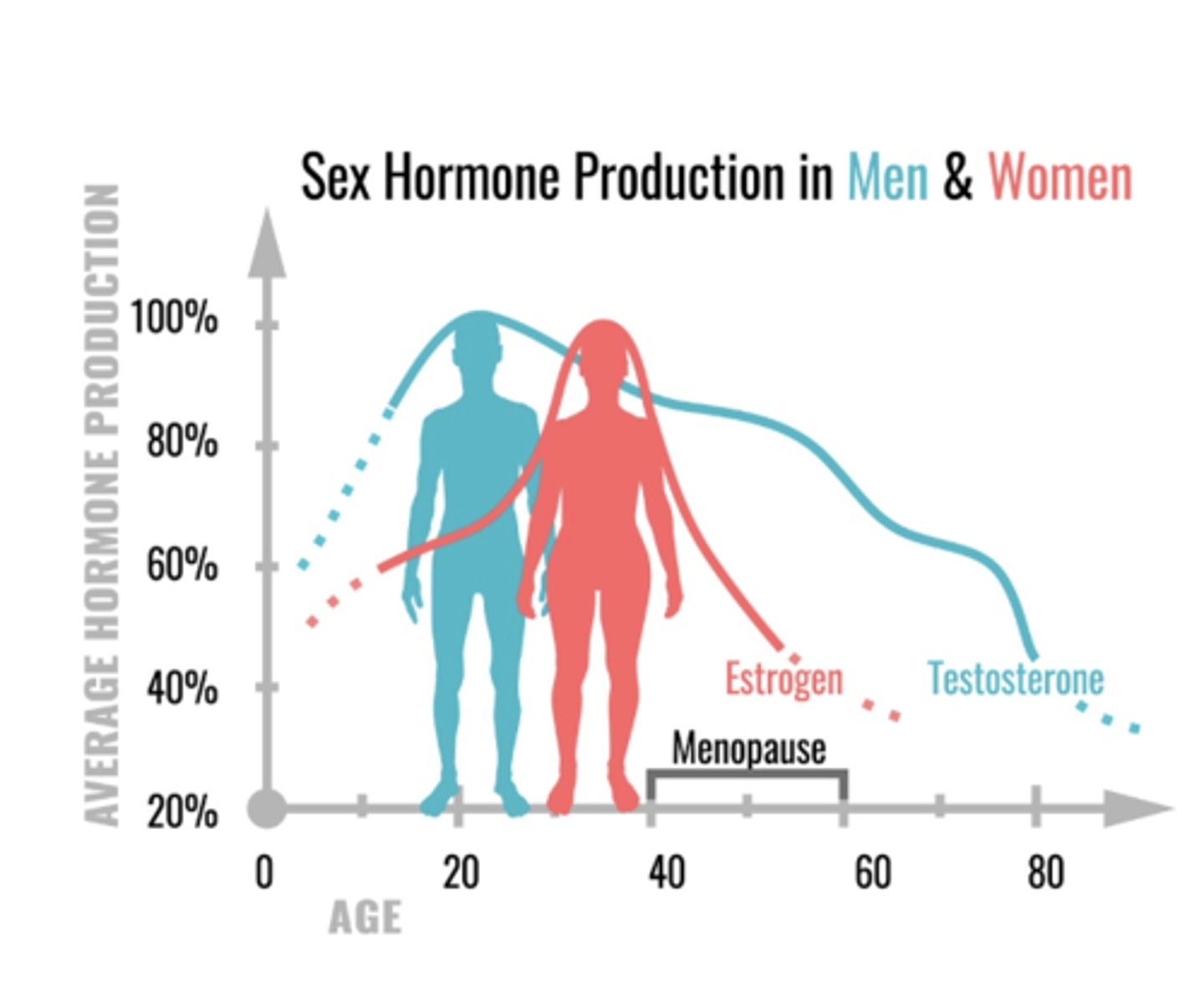 <p>Androgen</p><p>Estrogen</p><p>Progesterone</p>