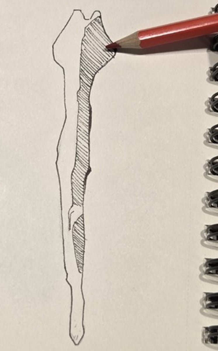 <p>either side of a deep midline furrow on the superior surface of the vomer. This part of the bone is the thickest and sturdiest and is tightly appressed to the sphenoid</p>