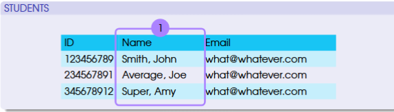 <ul><li><p>columns of a table that store those characteristics that we use to describe the ‘thing’ we want to keep track</p></li><li><p>each one represents a characteristic of the thing (e.g., Name)</p></li></ul><p></p>