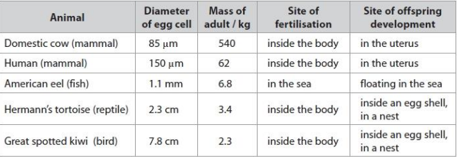 <p>Deduce the relationship between egg cell diameter and the mass of the adult animal shown by the data (1)</p>