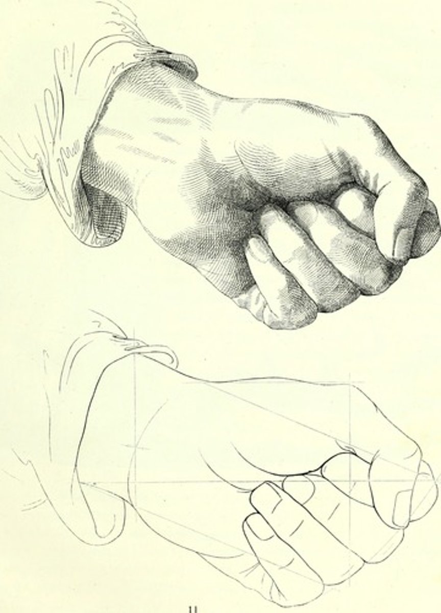 <p>drawing</p>