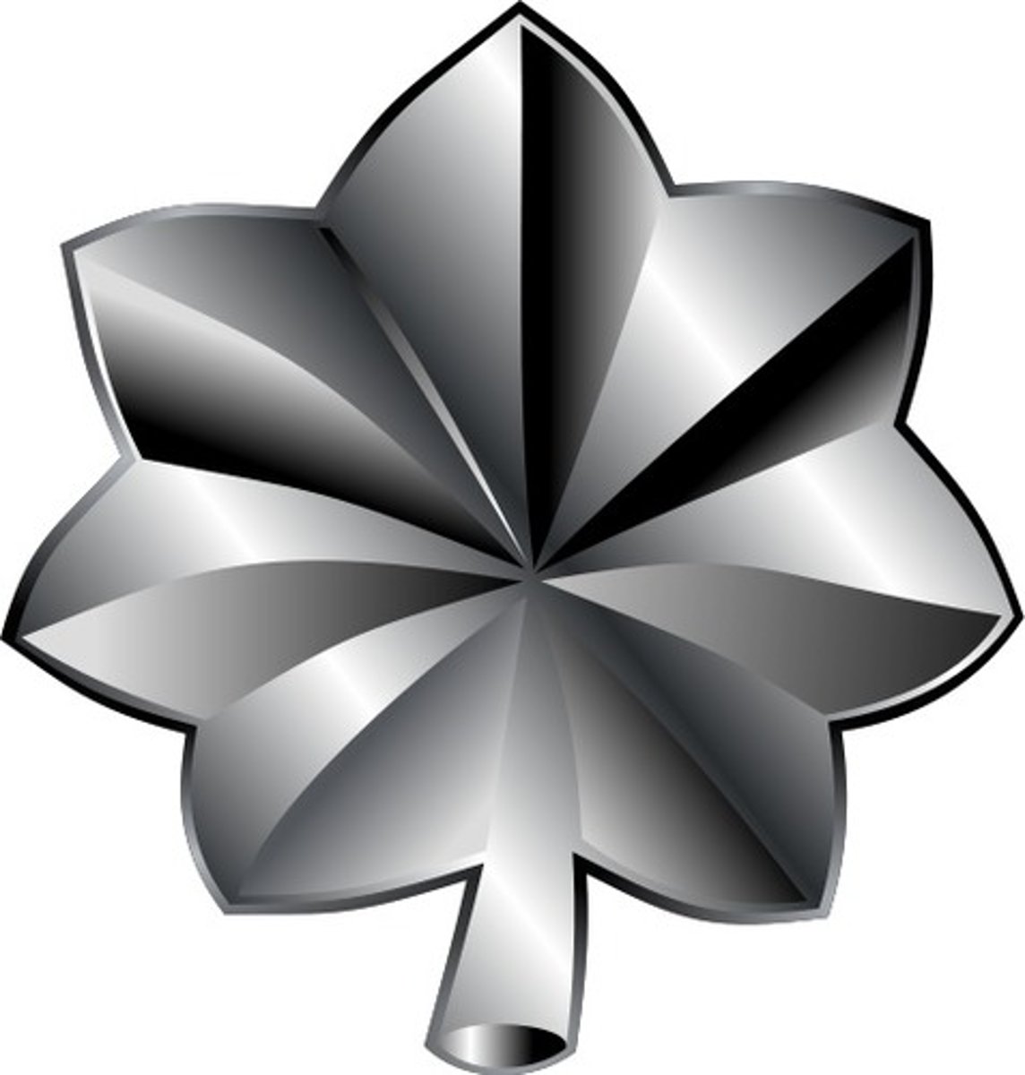 <p>Lieutenant Colonel (LtCol)</p><p>Silver oak leaf</p>