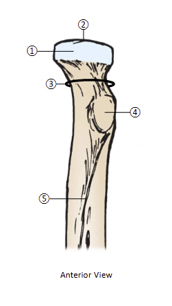 <p>1</p>