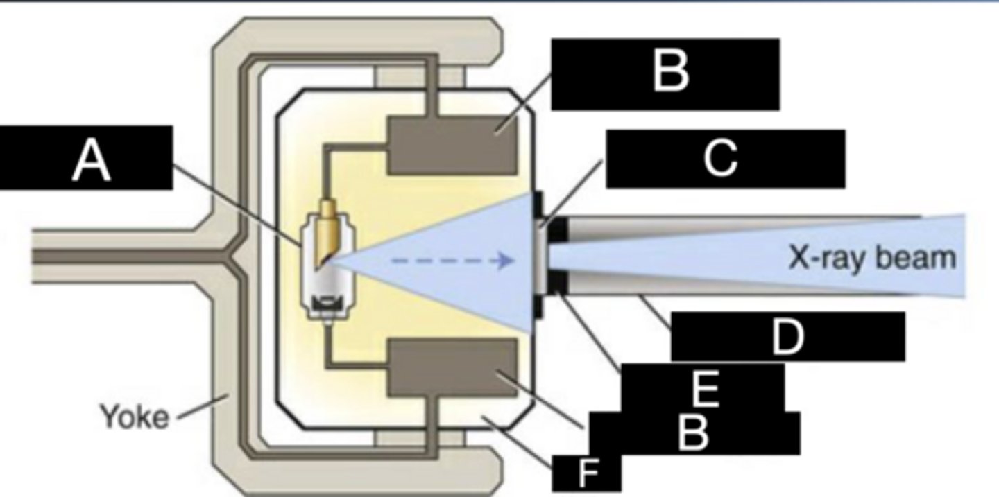 <p>What is labeled with F?</p>