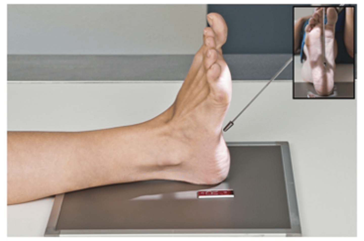 <p>What projection is this?</p>