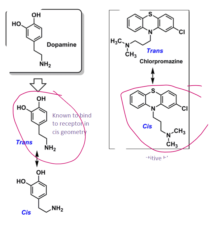 <ul><li><p>cis-conformation of phenothiazines have similar geometry as trans-dopamine (active conformation)&nbsp;&nbsp;</p><ul><li><p>will act as competitive blocker and prevent DA from biding&nbsp;</p></li></ul></li><li><p>EWG @ C2 will promote bioactive conformation</p><ul><li><p>protonated amine can interact with EWG and cation pi interaction lock in Cis conformation&nbsp;</p></li></ul></li></ul><p></p>