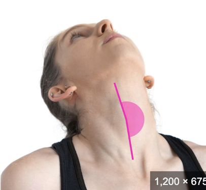 <p>increasing the angle between bones, usually in the sagittal plane</p>