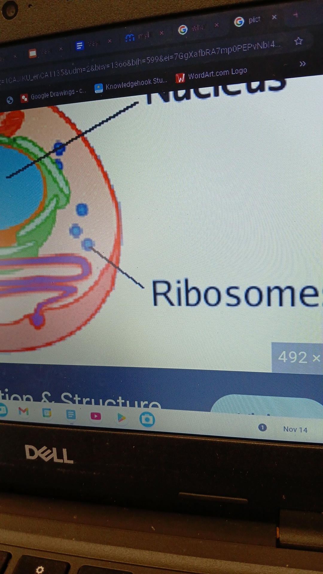 knowt flashcard image