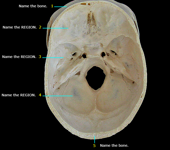 <p>Name #4</p>