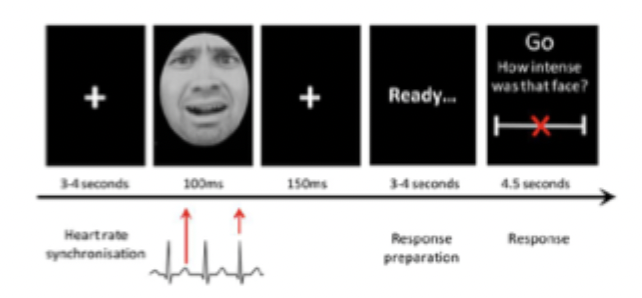 <p>What did Garfinkel’s experiments show when either neutral or fear faces were briefly presented, time locked to heartbeat and emotional intensity ratings were given of the presented face?</p>