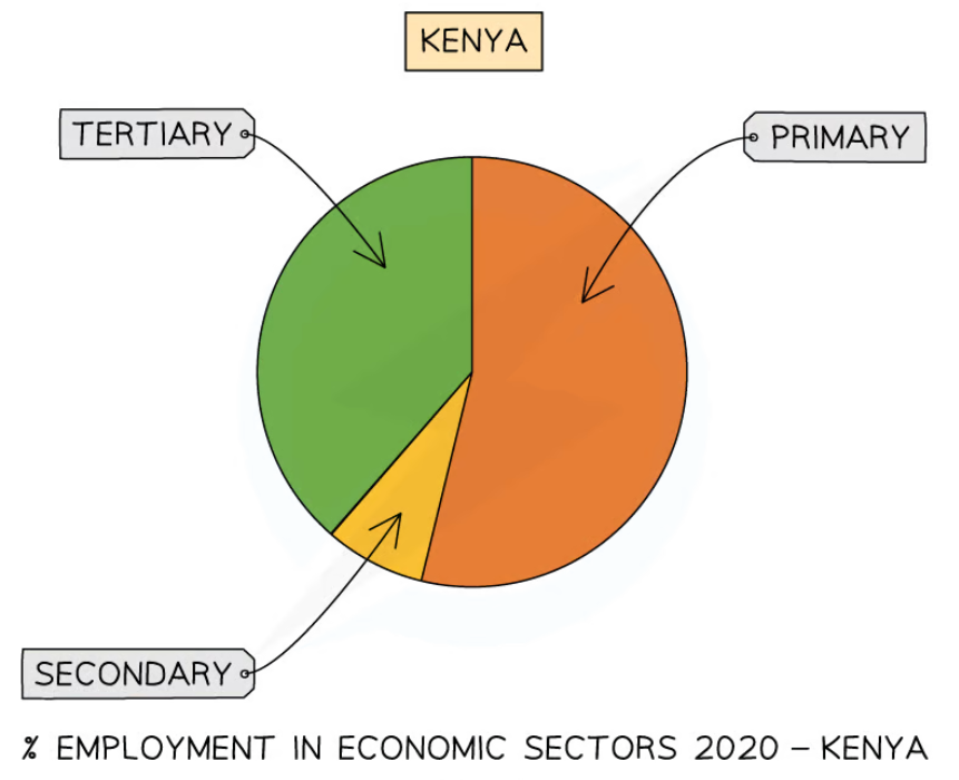 <ul><li><p>Kenya is in <strong>pre-industrial stage</strong> of Clark-Fisher model</p></li><li><p>Over 50% of population are currently employed in agriculture - decreased from over 60% in 2010</p></li><li><p>Very little <strong>secondary activity</strong> due to lack of resources + <strong>infrastructure</strong></p></li><li><p><strong>Tertiary activities </strong>have rapidly increased - mostly related to tourism</p></li></ul>