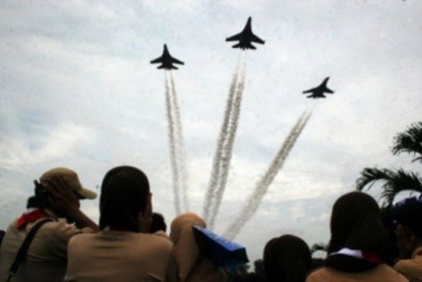 <p>To move quickly through the air with whistling sound</p>