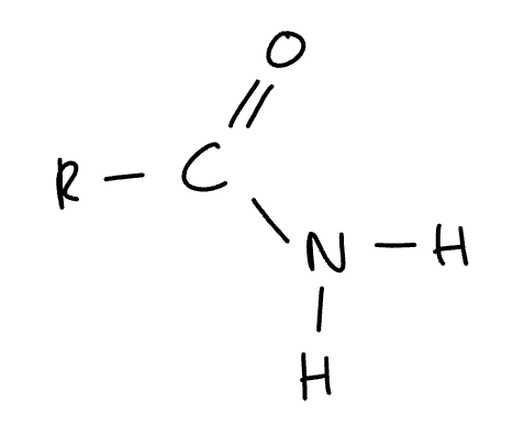 <p>amide</p>