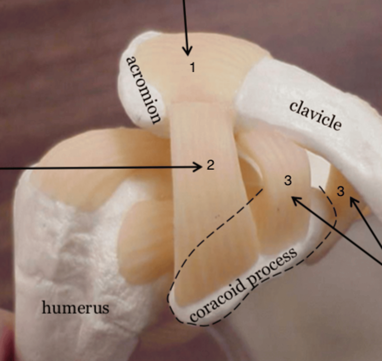 <p>2</p>