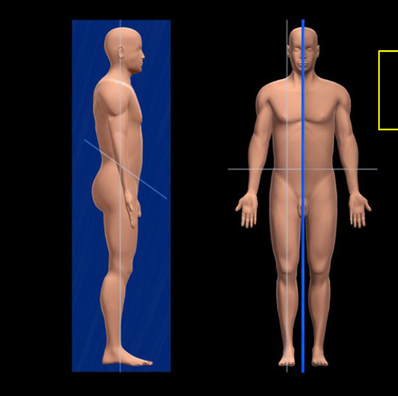 <p>A vertical plane that divides the body into equal right and left halves. </p>