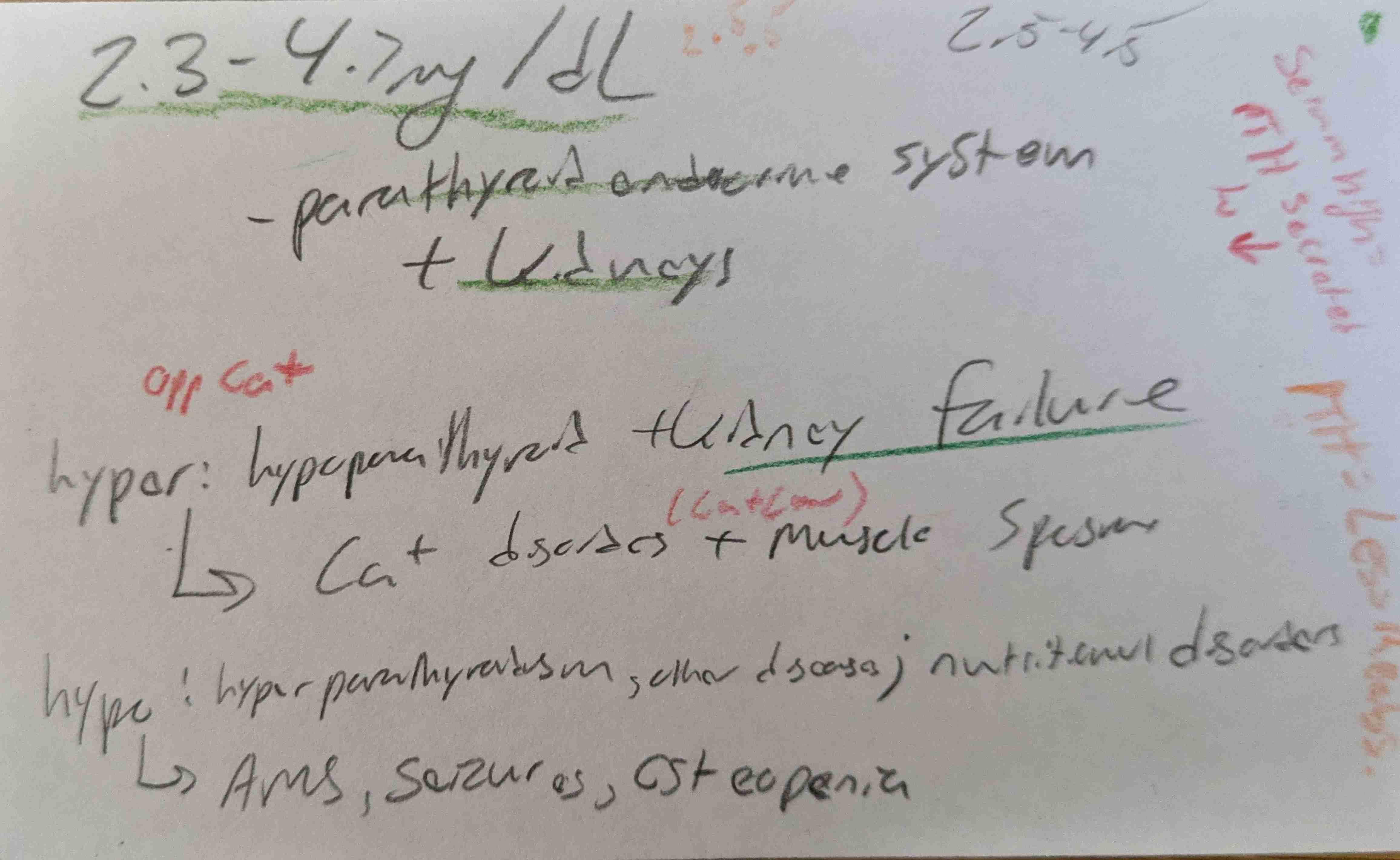 knowt flashcard image