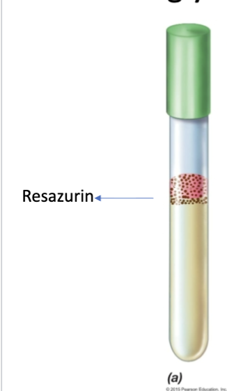 <p>Fluid Thioglycollate test- colonies in top layer only</p>