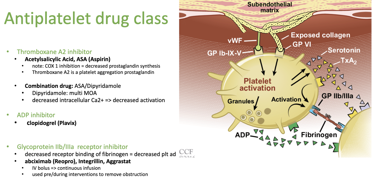 <ul><li><p>it’s an anti-platelet drug that reduces/inhibits Thromboxane A2</p></li><li><p><span style="color: green;"><strong>Combo drug from ASA + Dipyridamole</strong></span></p></li></ul><p></p><p><strong>**</strong><span style="color: blue;"><strong>Decreases intracellular Ca 2+</strong></span><strong> and decreases activation of platelets!!</strong></p><ul><li><p>since <span style="color: blue;"><strong>Ca 2+ is Factor V</strong></span> that turns:</p></li><li><p> prothrombin into thrombin</p></li><li><p> fibrin into fibrinogen</p></li></ul><p></p>
