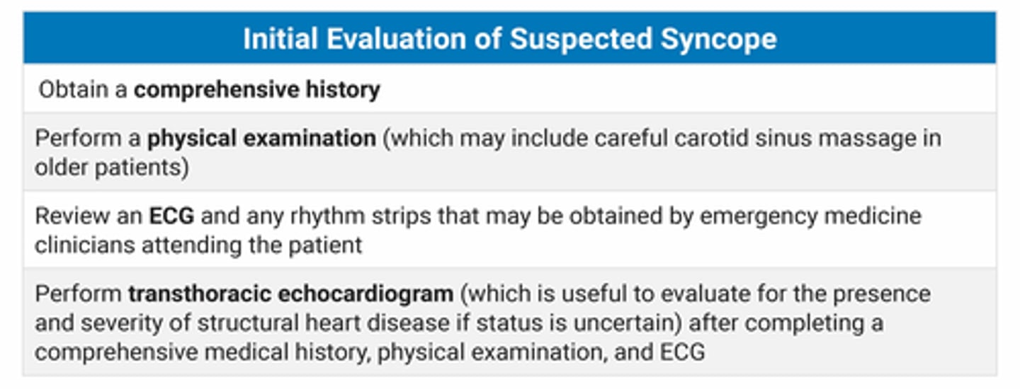 <p>ekg</p><p>echo</p><p>carotids</p><p>BP</p>