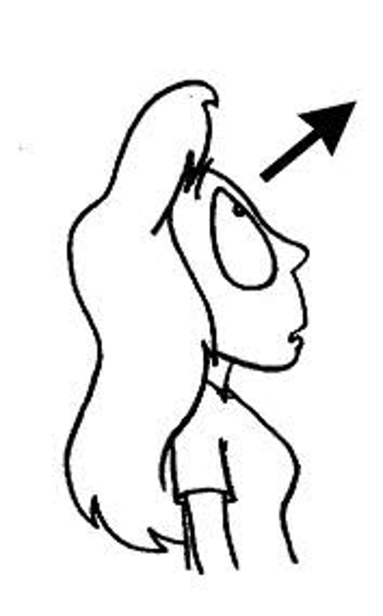 <p>he/she looks at</p>