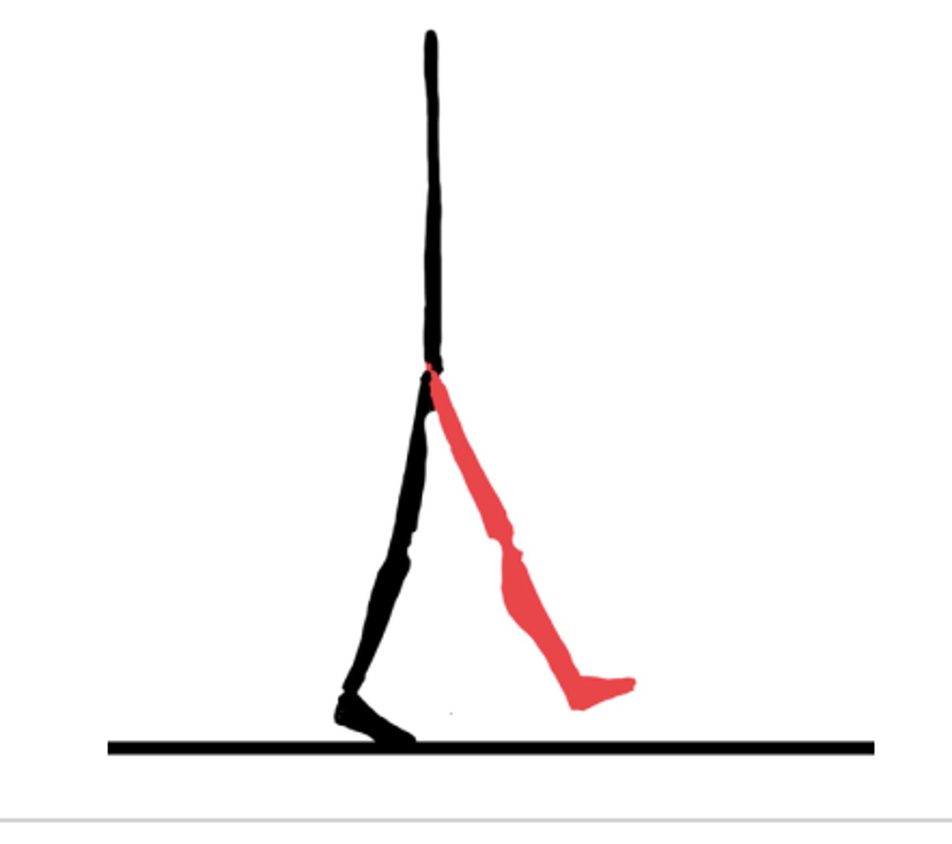 <p>87-100%</p><p>The last phase of swing in which the hip initially is flexed, and the knee is extended, allowing for the foot to be in front, ready to obtain the forward placed foot for initial contact, to begin the next gait cycle. Just prior to initial contact, the hip extends, lowering the foot into place for initial contact.</p><p>Important for preparing the foot to be placed in front for the next cycle of gait.</p>