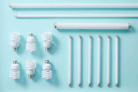 <p>describe fluorescent bulbs (description, advantages and disadvantages)</p>