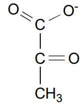 <p>Pyruvate and 2 ATP!S</p>