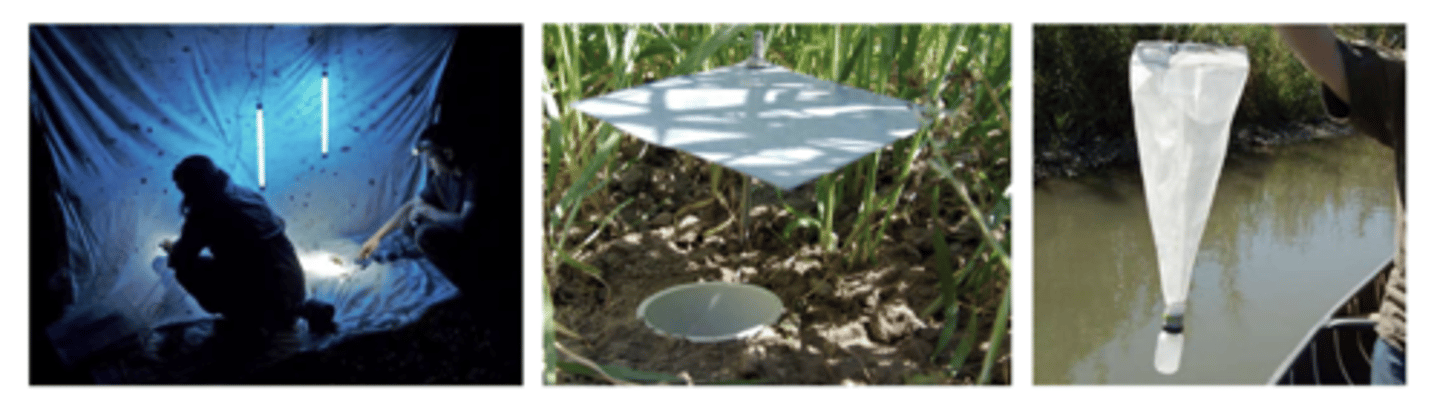 <p>live animal traps, light traps, pitfall traps, plankton nets</p>