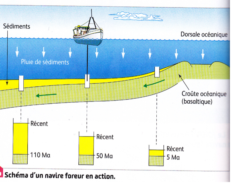 <p>→ <strong>sédiments</strong> (coquilles calcaires) se déposent sur le fond des océans</p><p>→ plus on <strong>s’éloigne</strong> de la dorsale = <strong>sédiments</strong> océaniques au <strong>contact des basaltes de la croûte</strong> (= les premiers à être déposés) <strong>plus âgés</strong></p><p>→ prouve <span><strong>l’écartement des plaques lithosphériques de part et d’autre de la dorsale</strong></span></p><p>(vitesse correspond à celle obtenue par l’étude des anomalies magnétiques)</p>