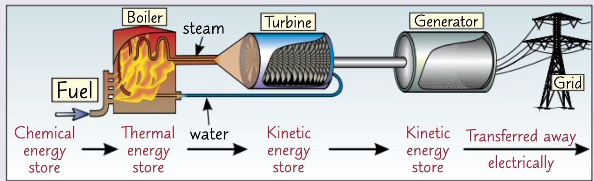 1- as the fossil fuel burns in oxygen the energy in it’s chemical energy store is transferred to the thermal energy store of the water by heating.

2- water boils to form steam. the steam turns the turbine transferring energy mechanically the kinetic energy store of the turbine. 

3- as the turbine rotates also the generator which produces an electric current. It transfers the energy electrically away from power station to natural grids to homes.