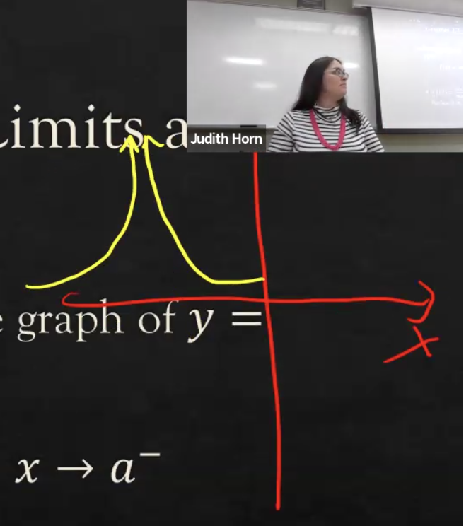 <p>These are infinite limits </p>