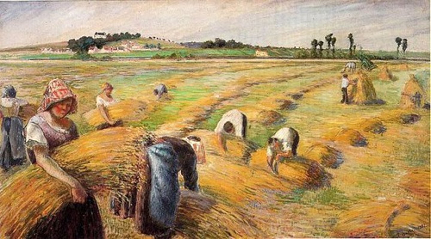 <p>to harvest</p>