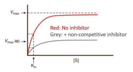 <p>Vmax and Km both change (Km might not though)</p>