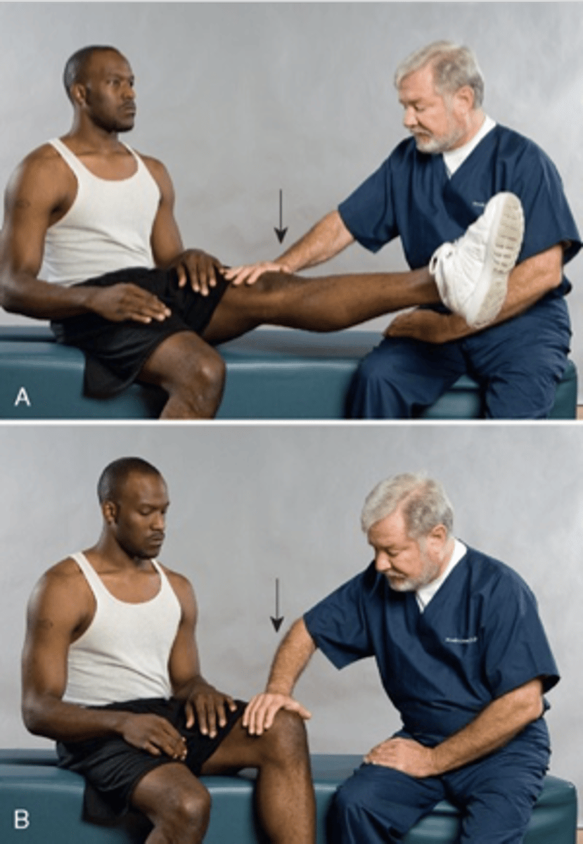 <p>Assessment for:</p><p>- Sciatica</p><p>- IVD lesion</p><p>- Vertebral exostoses</p><p>- Dural sleeve adhesions</p><p>- Muscular spasm</p><p>- Vertebral subluxation</p>