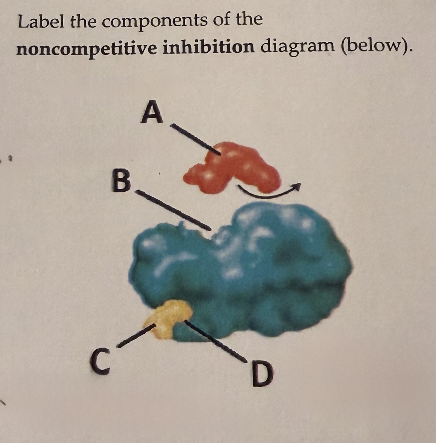 <p>label the components</p>