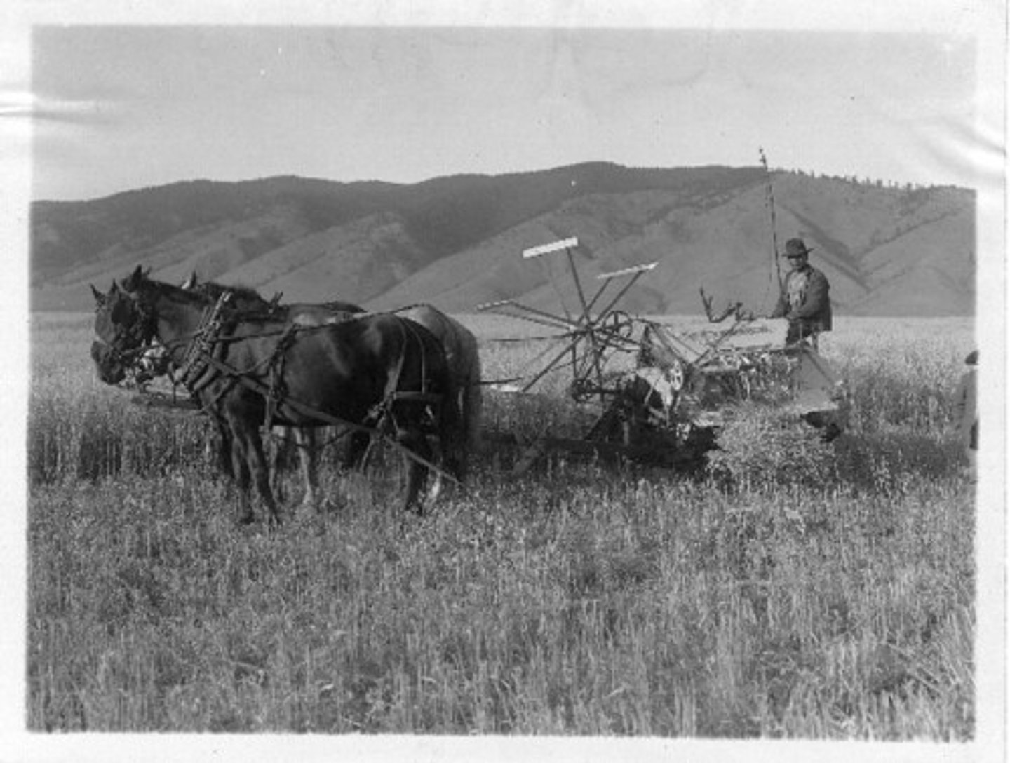 <p>On the nation's farms, THESE replaced workers.</p><p>As a result, many workers in the rural areas lost their jobs.</p><p>Unemployed farm workers soon moved to the cities to find jobs as well.</p>